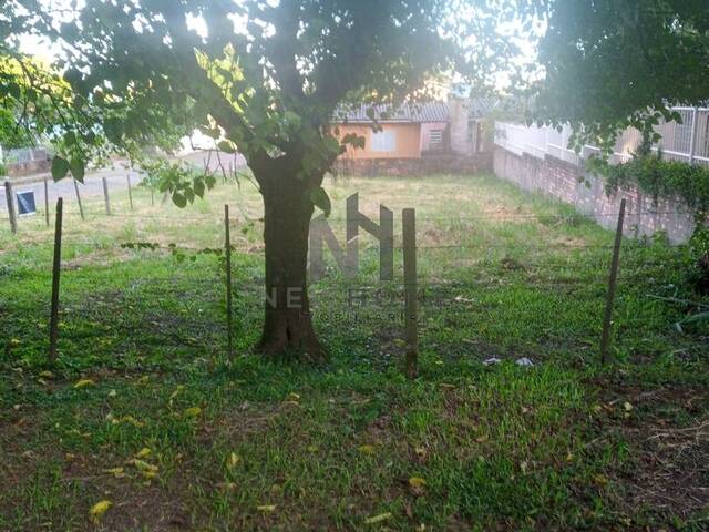 Venda em Arroio da Manteiga - São Leopoldo